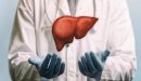 كل ما تود معرفته حول زراعة الكبد