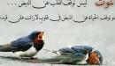 اجمل عبارات عن الحياة فيس بوك