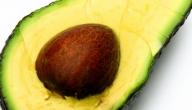 فوائد الافوكادو