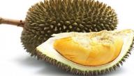 فوائد فاكهة الدوريان