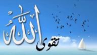 ما هي تقوى الله ما هي تقوى الله