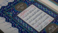 ما فائدة قراءة سورة البقرة