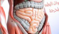 أسباب صوت الأمعاء
