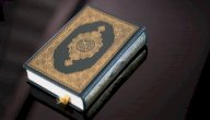سبب نزول سورة الفرقان مختصر سبب نزول سورة الفرقان مختصر