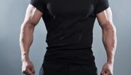 أفضل الطرق لتضخيم العضلات