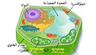 بحث عن تركيب الخلية ووظائفها