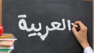 ما تأثير اللغة العربية على اللغات الأخرى؟ ما تأثير اللغة العربية على اللغات الأخرى؟