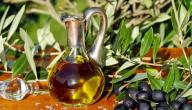 أسرار زيت الزيتون