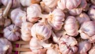 اضرار وفوائد الثوم