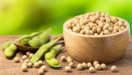 كل ما تود معرفته عن زراعة فول الصويا في المنزل