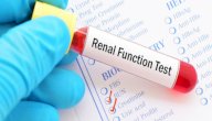تحليل وظائف الكلى: ما أهميته؟ ومتى يطلبه الطبيب؟