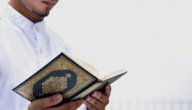 فوائد قراءة سورة البقرة 7 أيام للرزق: هل ثبتت في السنة؟