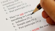 شرح زمن الماضى البسيط