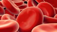 علاج فقر الدم طبيعي