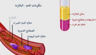 ما هي مكونات الدم