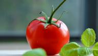 اضرار الطماطم على الرجيم