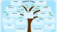 كيف ترسم شجرة العائلة؟ كيف ترسم شجرة العائلة؟