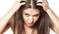 حل مشاكل الشعر