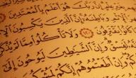 فوائد سورة المعارج