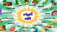 أسماء الأنبياء والرسل حسب التسلسل الزمني