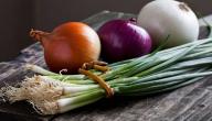 فوائد واضرار البصل