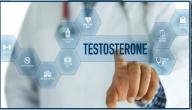 هرمون التستوستيرون