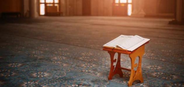 عدد المذاهب في الاسلام