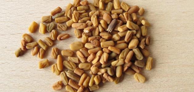 طريقة استعمال زيت الحلبة لزيادة الوزن
