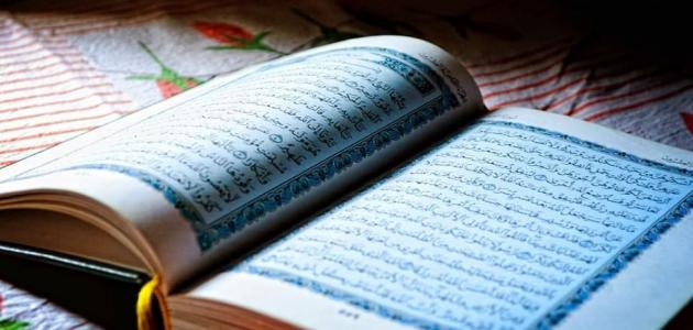 شروط القراءة الصحيحة