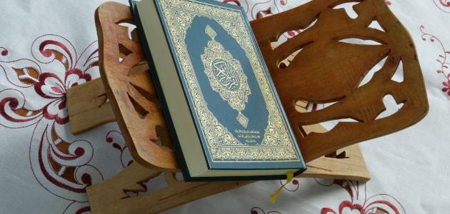 كيف تكون حياة البرزخ