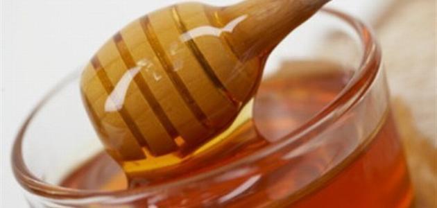 علاج جرثومة المعدة بالعسل وحبة البركة