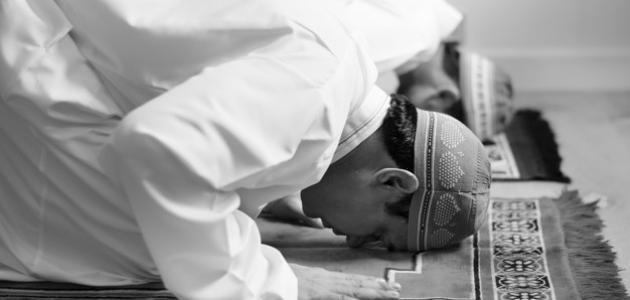 كيف تصلي الشفع والوتر