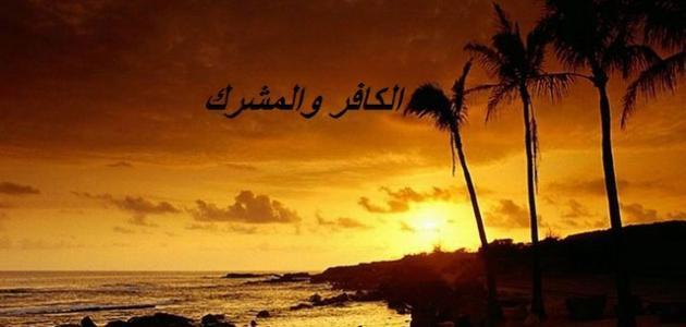 ما الفرق بين الكافر والمشرك