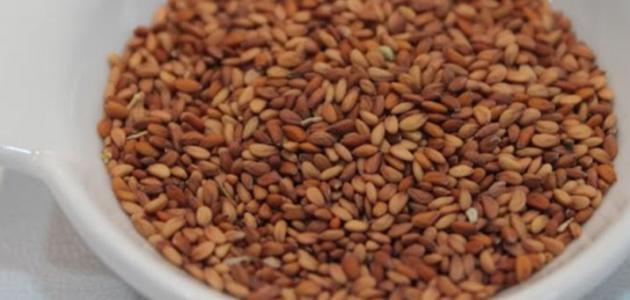 طريقة استخدام الرشاد