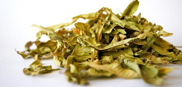طريقة ازالة الوشم بالاعشاب