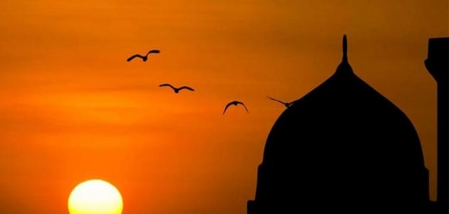 حديث الرسول عن ضرب النساء