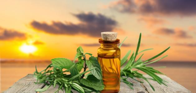 طريقة استخدام زيت اكليل الجبل للشعر