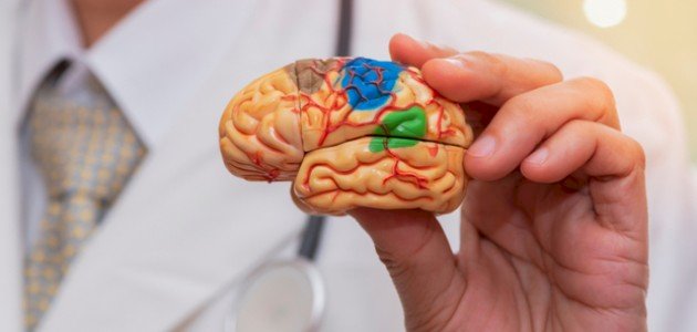 نقص المادة البيضاء في الدماغ