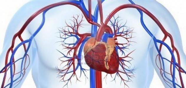 علاج ضيق شرايين القلب