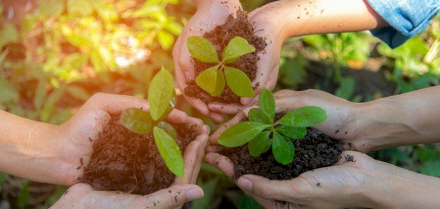 مفهوم التربية البيئية
