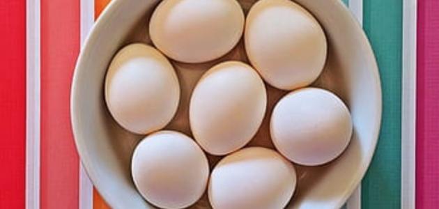 ماهي فوائد بياض البيض
