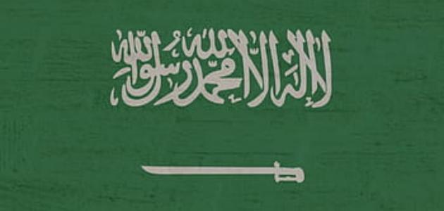 كم محافظة في السعودية