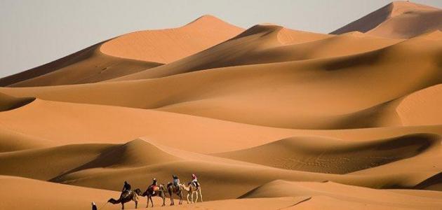 ما هي اكبر صحراء بالعالم