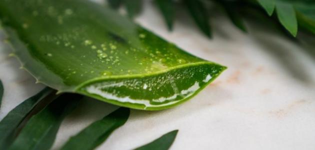 طرق تفتيح الوجه بسرعة