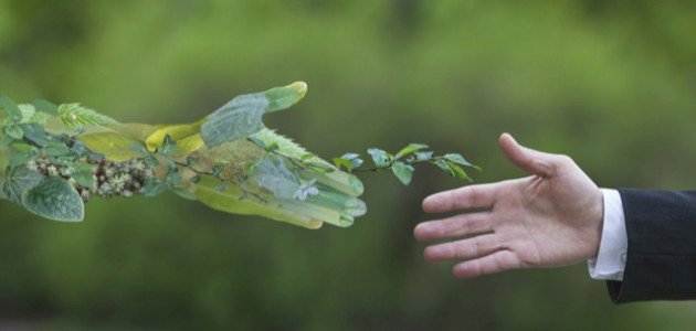 منظمات حماية البيئة