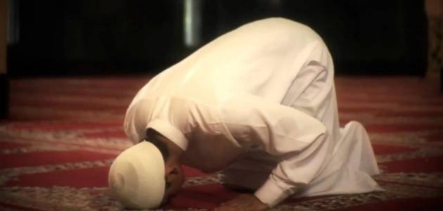 كم عدد صلاة العشاء