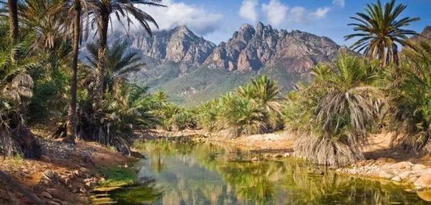 السياحة في جزيرة سقطرى