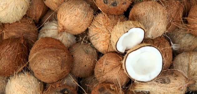 أين هو موطن جوز الهند