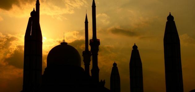 عدد صلوات الفرض والسنة