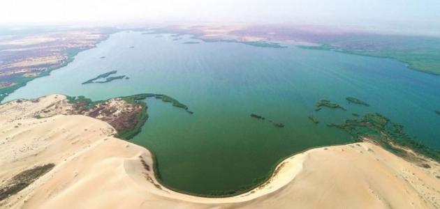 بحيرة الاصفر